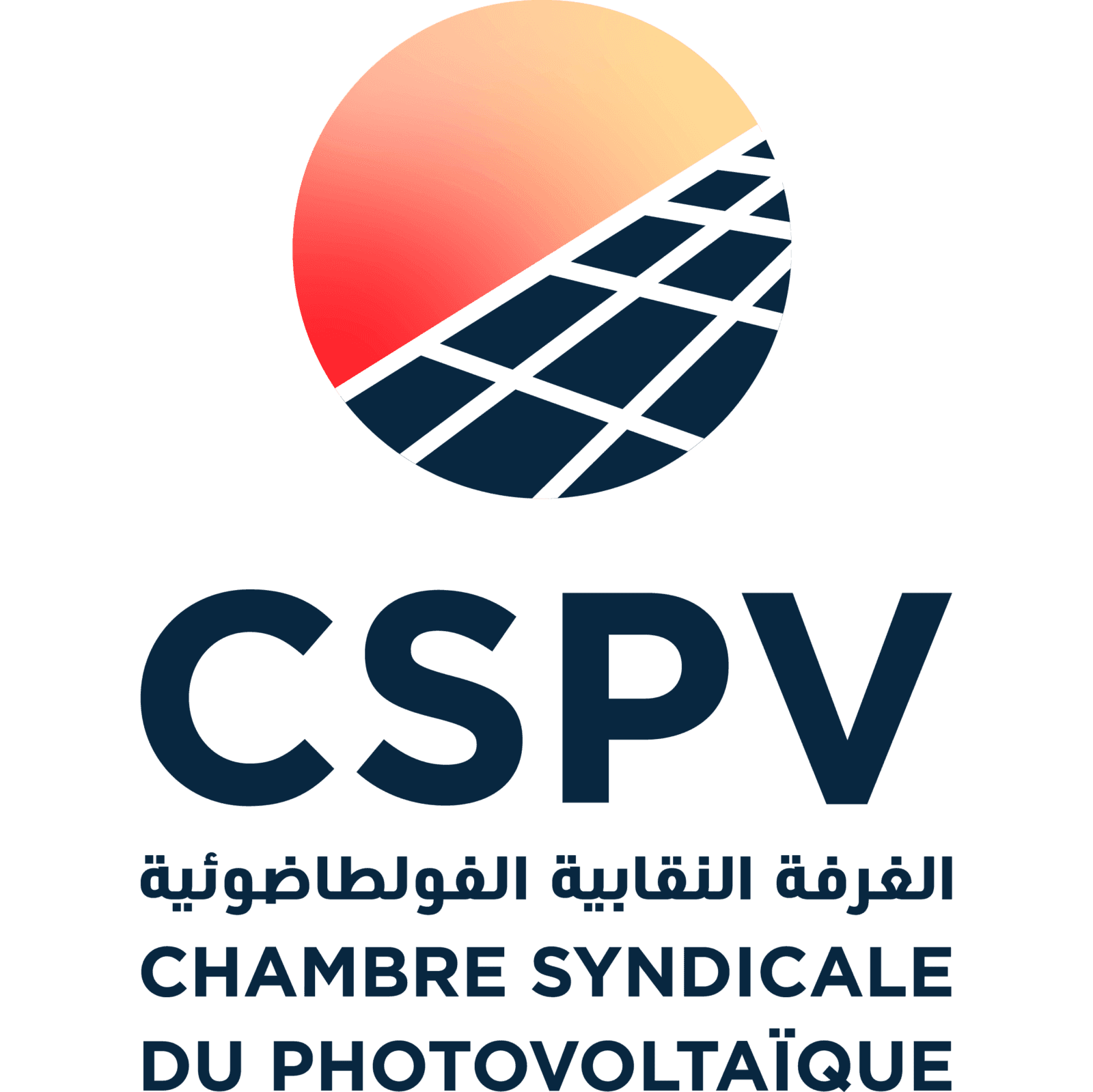 https://cspv.tn/wp-content/uploads/2021/10/logo_main.png
