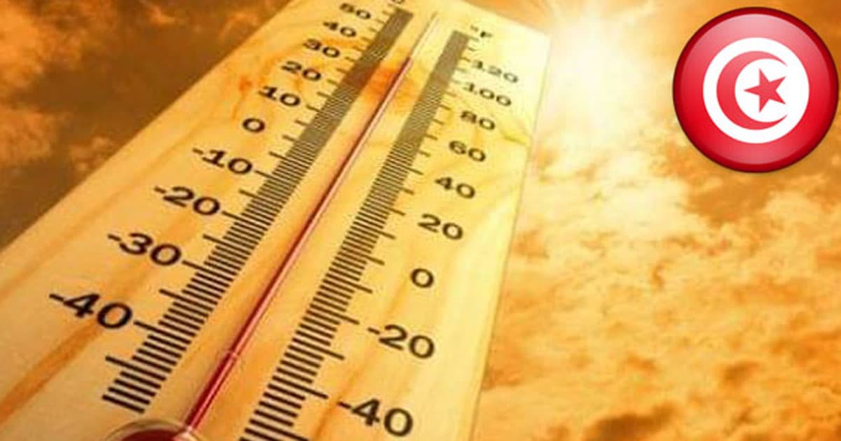 https://kapitalis.com/tunisie/wp-content/uploads/2022/08/meteo-chaleur.jpg