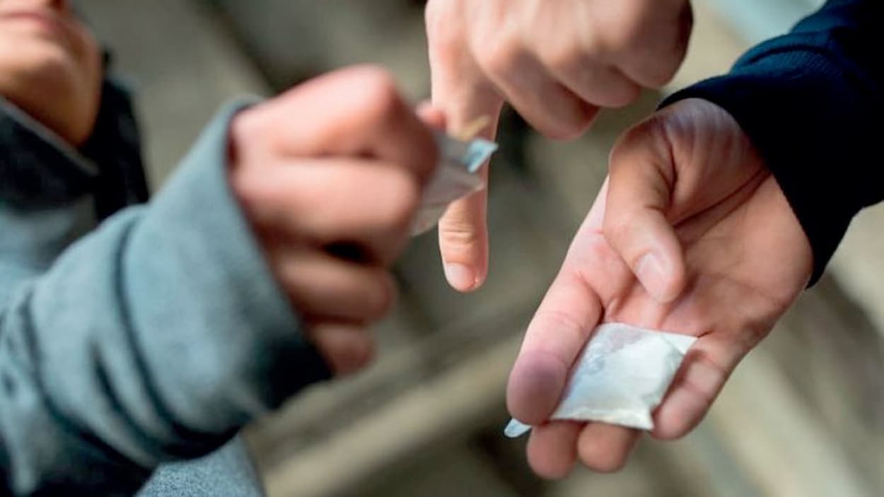 https://www.tunisienumerique.com/wp-content/uploads/2026/02/drogue-ARP-loi.jpg